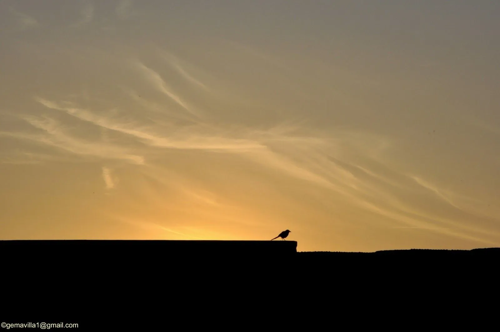 Cielos de atardecer, skies at sunset, ciels au crépuscule | Gema Villa