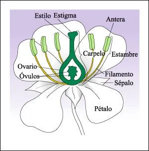 CIENCIA DE FRONTERA: 1/12/11 - 1/