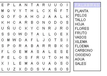 CIENCIA TECNOLOGIA Y AMBIENTE: pupiletras partes de la planta