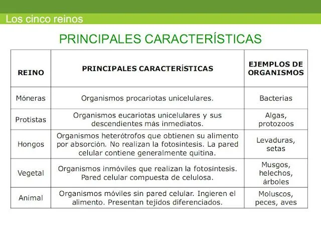 CIENCIA TECNOLOGÍA Y AMBIENTE: LOS CINCO REINOS