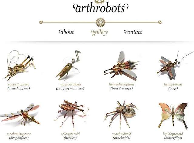 artropodos insectos con nombres