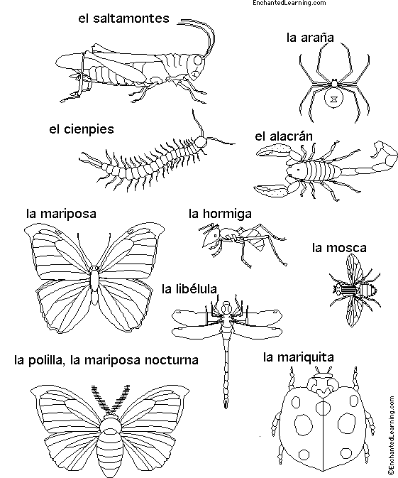 Ciencias 1º A