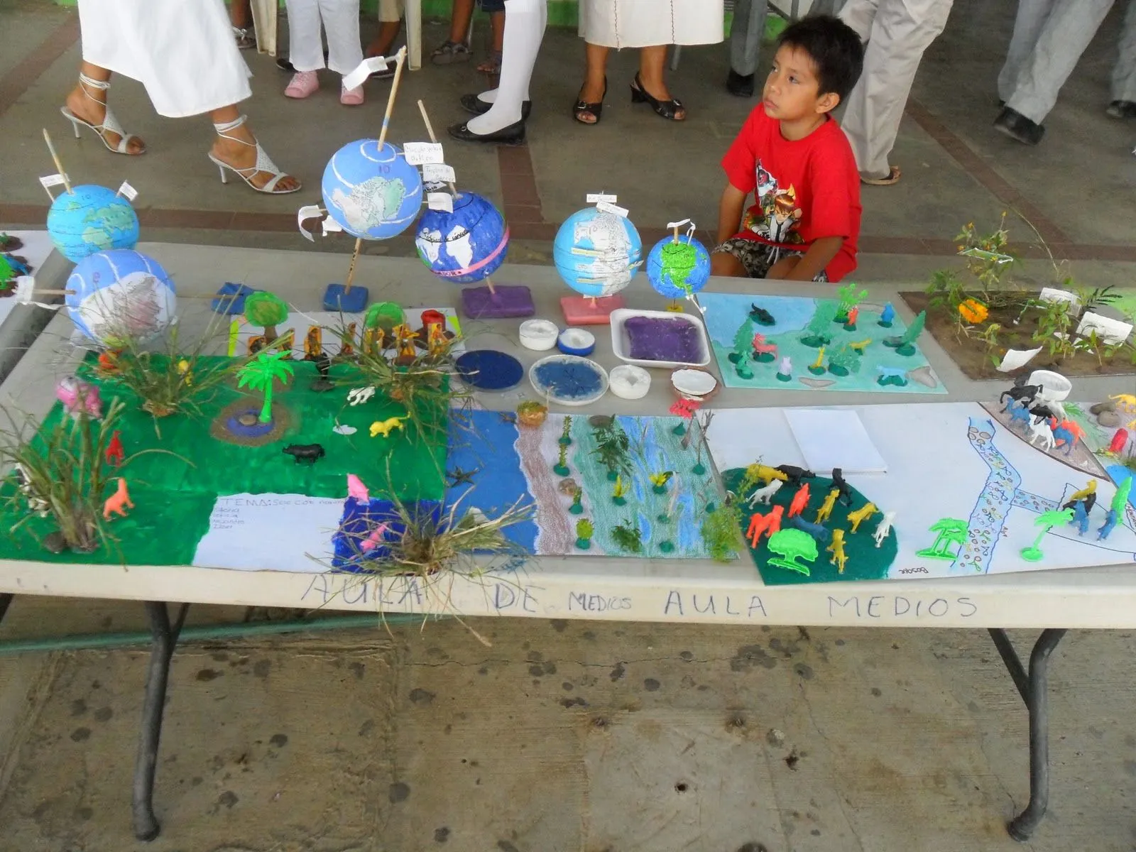 ciencias de la 100: maquetas Proyecto de ciencias