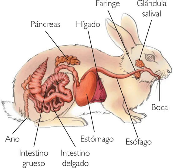 CIENCIAS