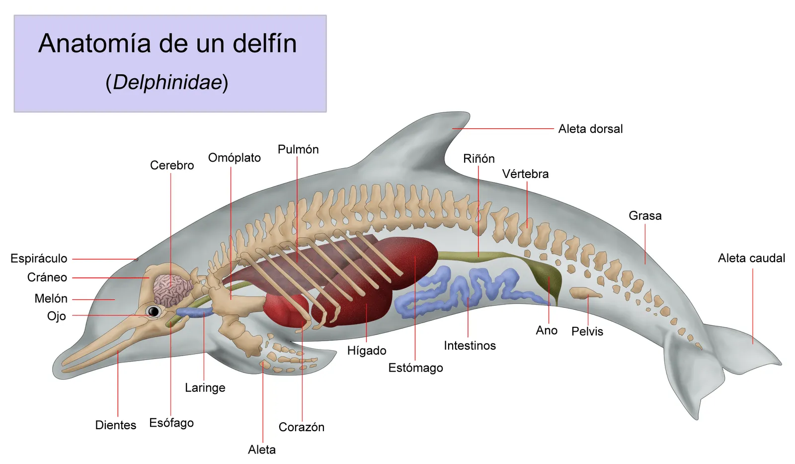 CIENCIAS