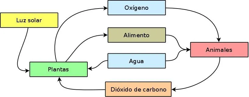 CIENCIAS BIOLOGICAS: ECOSISTEMAS