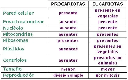 CIENCIAS BIOLOGICAS: CELULAS EUCARIOTAS