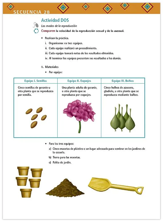 Ciencias. Énfasis en Biología. Libro para el maestro ...