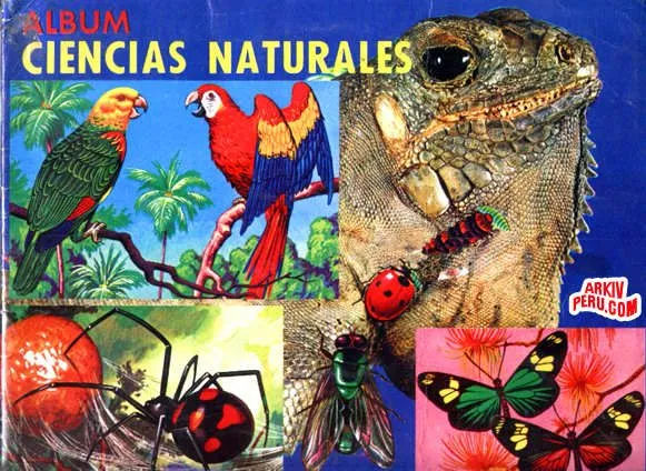 Ciencias Naturales; Ciencias Físicas