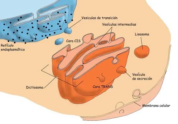 Proyecto Biosfera