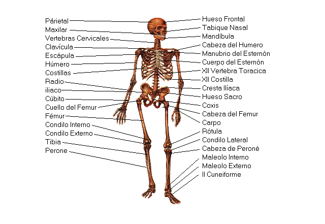 Ciencias Naturales: enero 2011