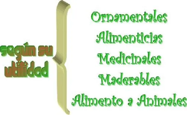 CIENCIAS NATURALES GRADO SEGUNDO