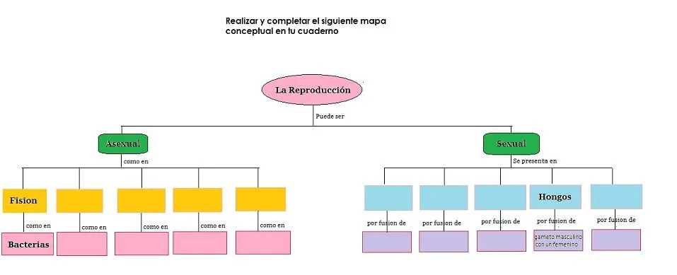 CIENCIAS NATURALES JAS: 2012-