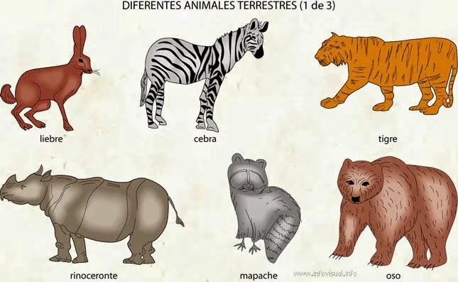 Ciencias Naturales: Los seres vivos y sus clasiificaciones