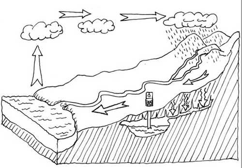 Ciencias de la Naturaleza | Fichas Didácticas Infantil y ...