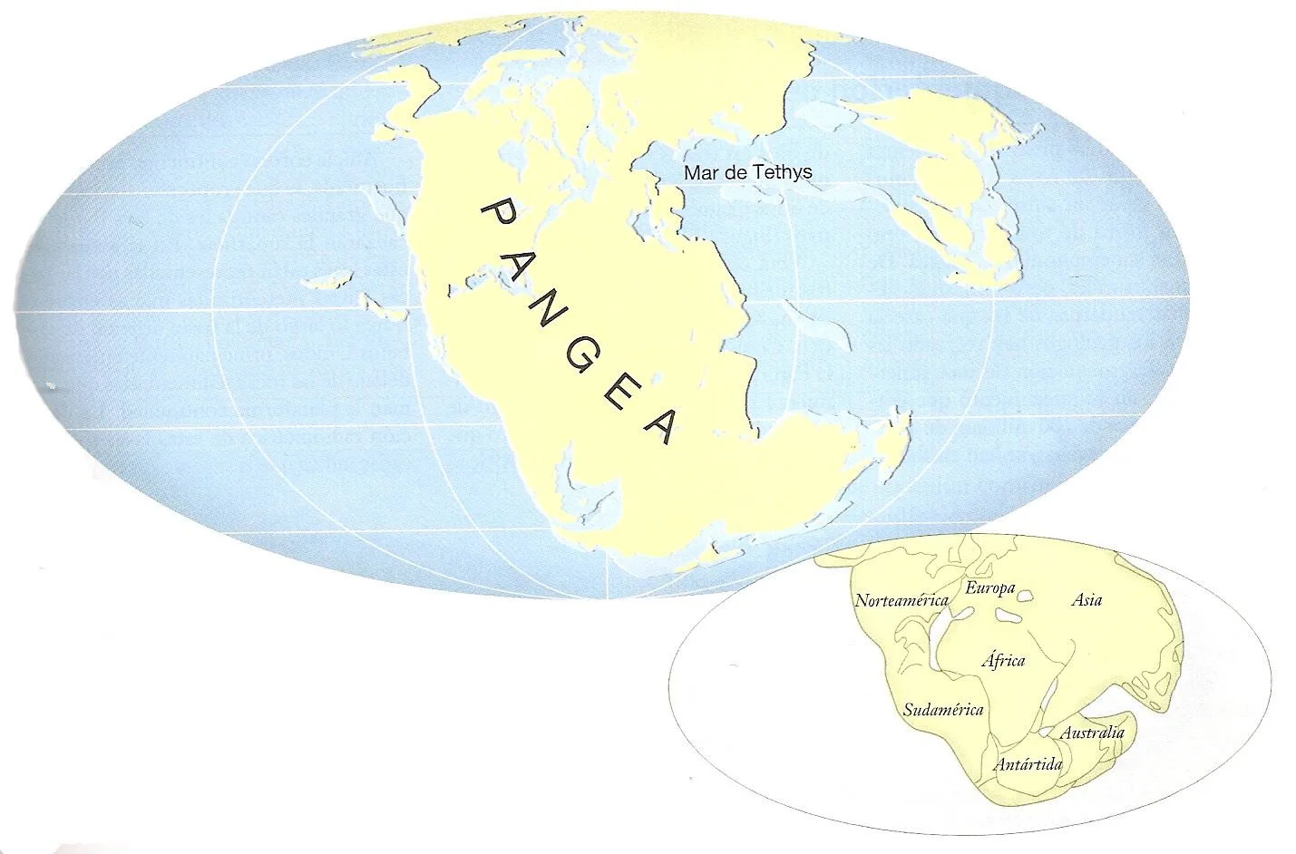 Ciencias de la Tierra: TECTONICA DE PLACAS