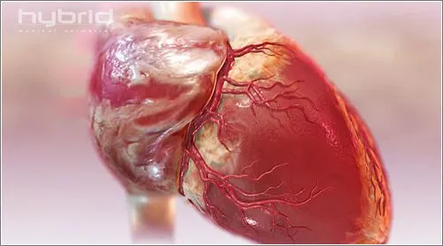 CIENTIFICOS CREAN UN CORAZON QUE LATE