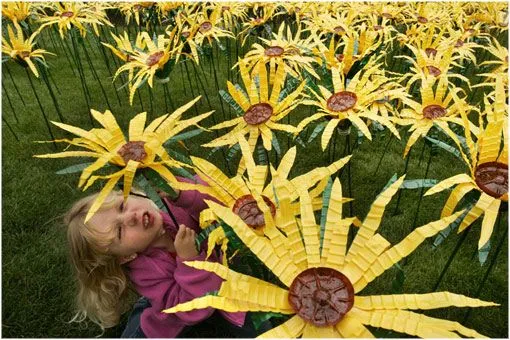 Cientos de flores hechas con botellas recicladas en la Florida ...