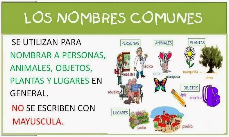 CIFRAS Y LETRAS: CLASES DE NOMBRES (3º y 4º)