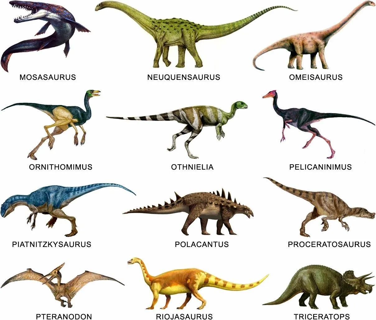 Dinosaurios y sus nombres - Imagui