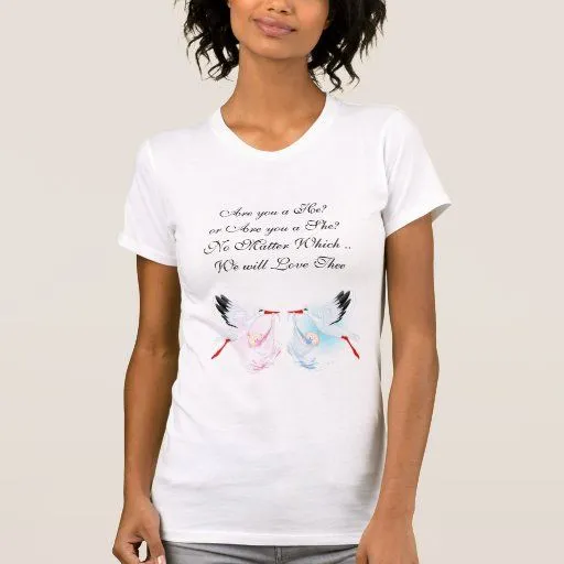 Cigüeñas bonitas que cuentan con la camiseta | Zazzle