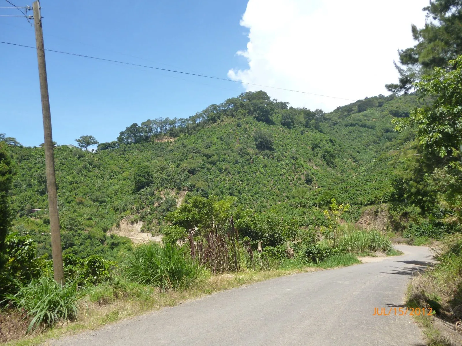 Circuito Turístico en la Violeta, en relación al Turismo Rural ...