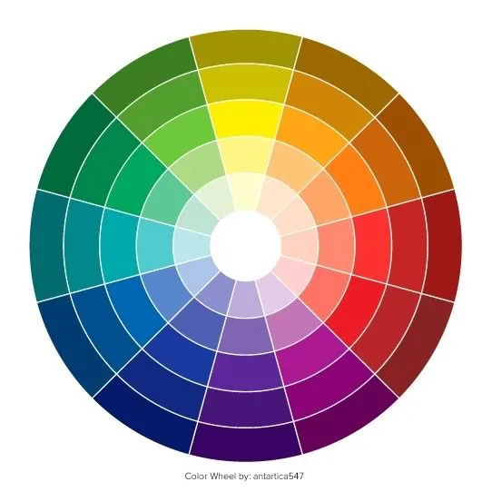 Circulo de Color