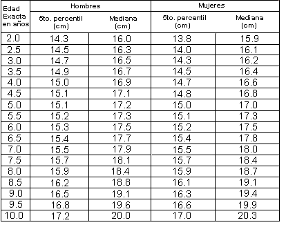 Circunferencia brazo superior pequeño