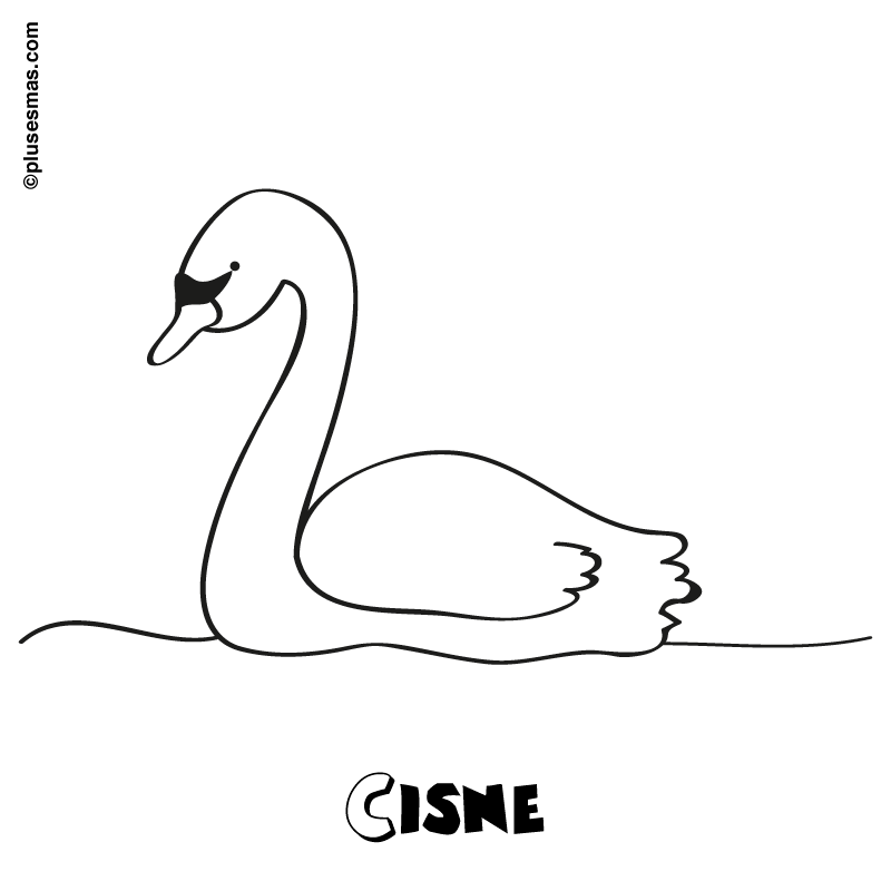 Cisne para colorear. Colorear con niños. Ocio en casa. Plusesmas.com