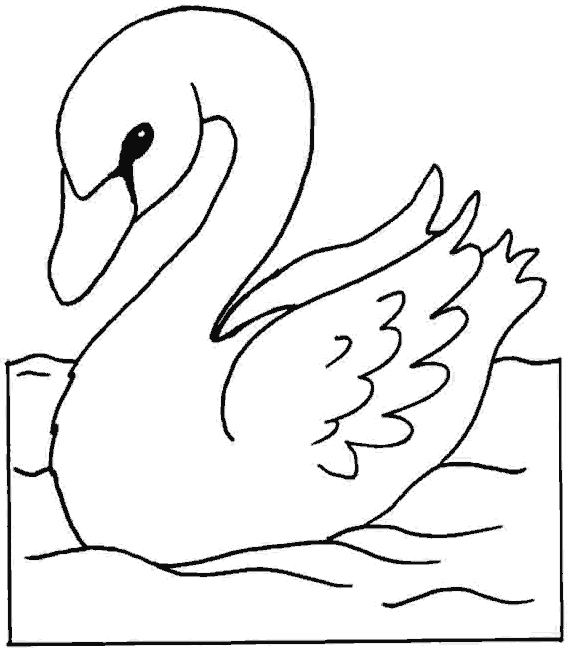 DIBUJOS PARA COLOREAR PINTAR IMAGENES: DIBUJOS DE CISNES PARA ...