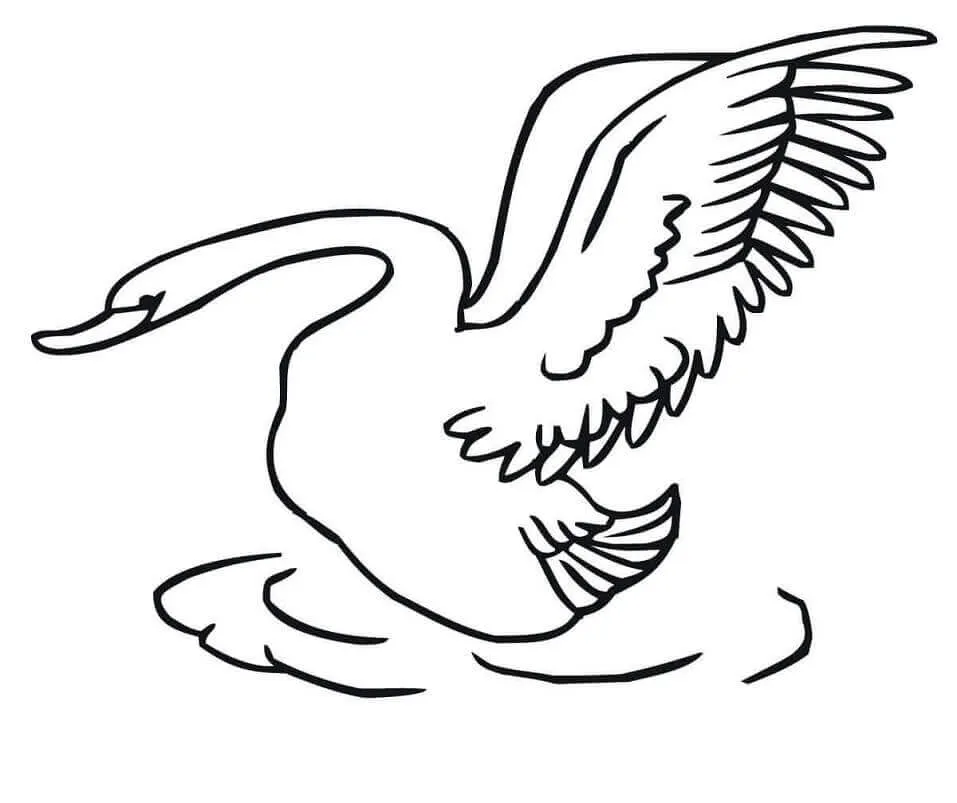 Cisne Despegando para colorear, imprimir e dibujar –ColoringOnly.Com