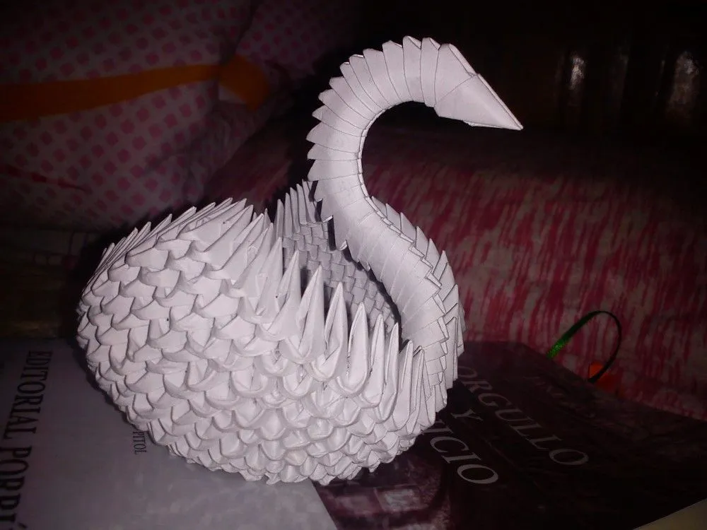 Cisne De Papel Pictures