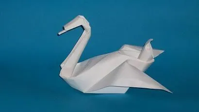 cisne.jpg