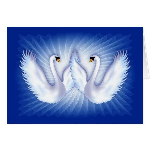 Cisnes en amor tarjeton de Zazzle.