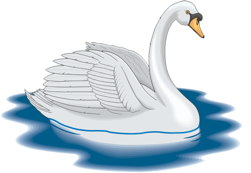 Cisnes enamorados animados - Imagui