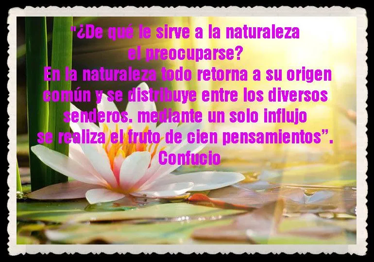 CITAS ,FRASES , PENSAMIENTOS Y POEMAS ILUSTRADOS | Fannyjemwong's Blog