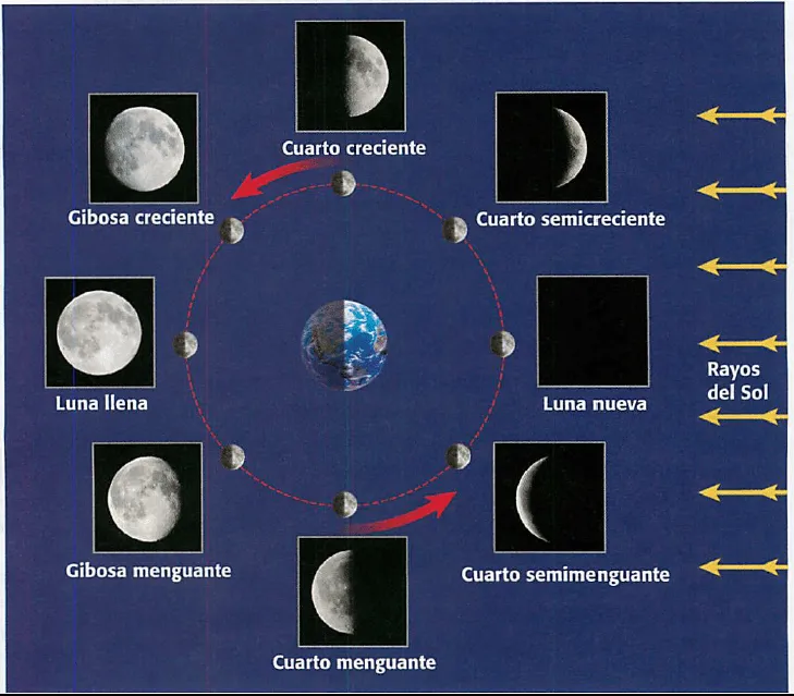 CL RC 3: Part 1 (Unit 4: Seasons, Lunar, Tides (Nov. 28-30, Dec. 1 - Dec.  12) - Mrs. Reese's Science Class Website