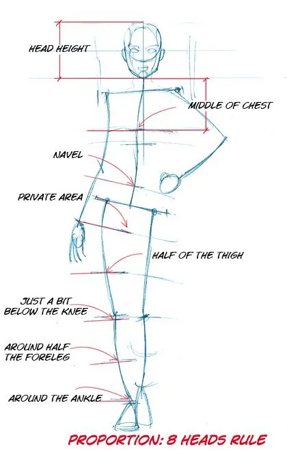 Clase 02. El cuerpo y sus proporciones - MarmotFish Studio