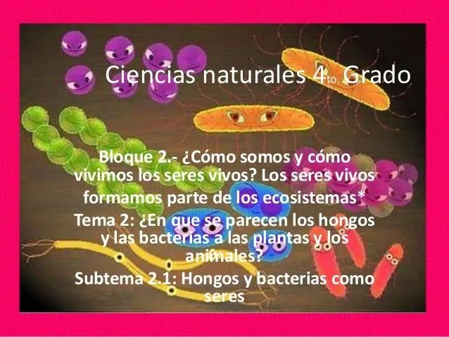 Clase de hongos y bacterias como seres, cuarto año ciencias naturales…