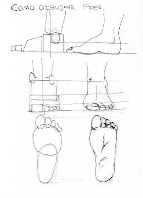 CLASE a LAPIZ: Separatas de pies y manos