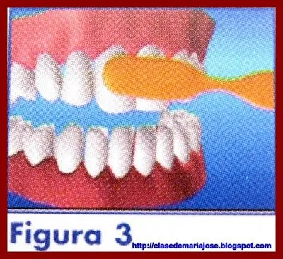 La Clase de María José: Salud Bucodental: Técnica del Cepillado Dental