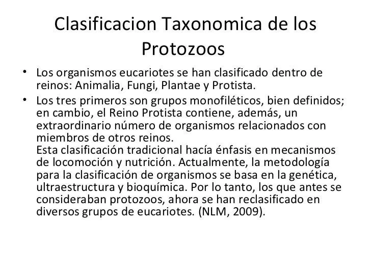 clase protozoos 2012 (I parcial)