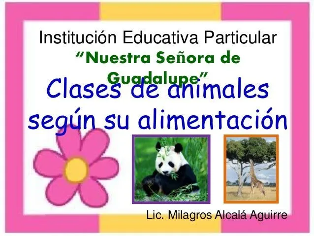 Clases de animales según su alimentación