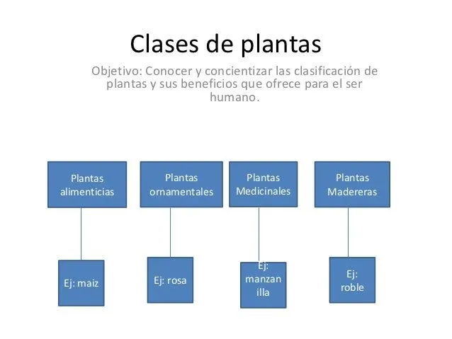 Clases de plantas