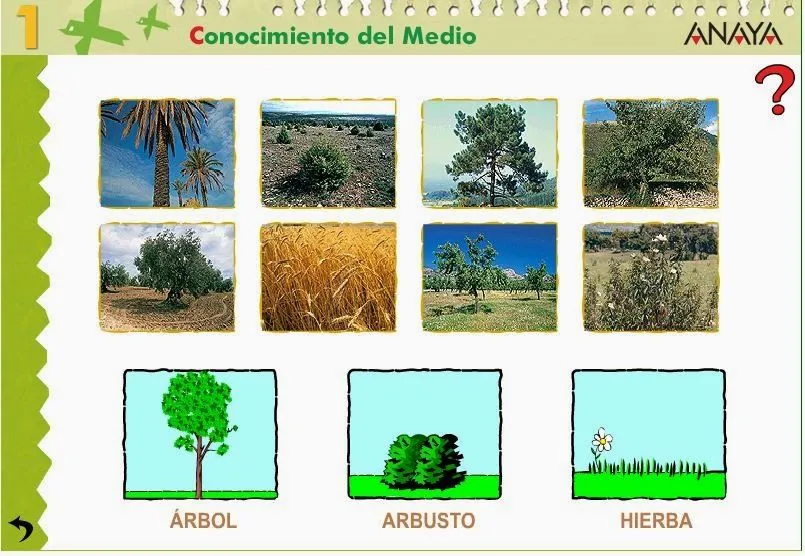 FUERTEMIMOPLATA (el blog de 1º de Primaria): CLASES DE PLANTAS Y ...