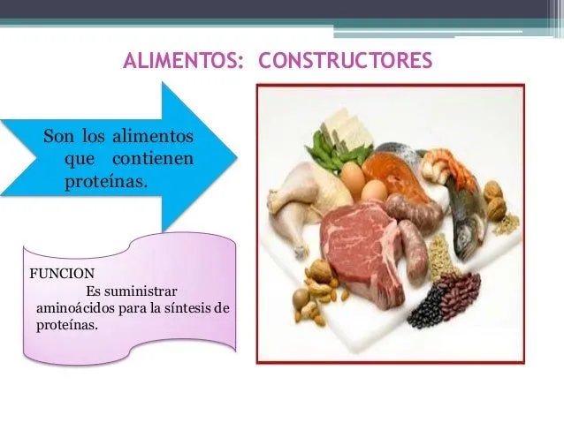 clasificacin-de-los-alimentos- ...