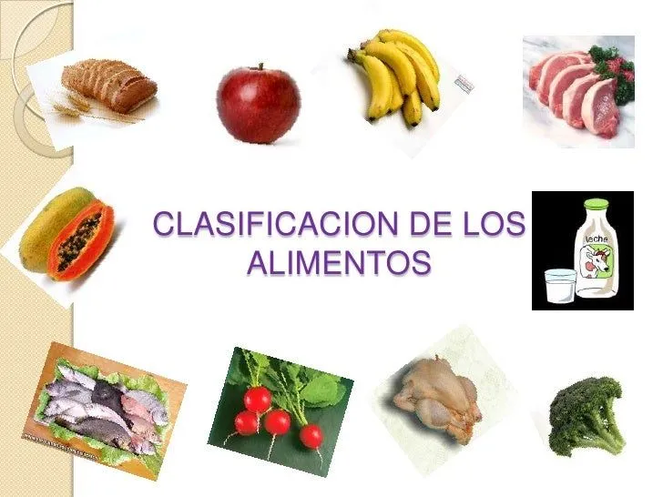 Clasificacion de los alimentos