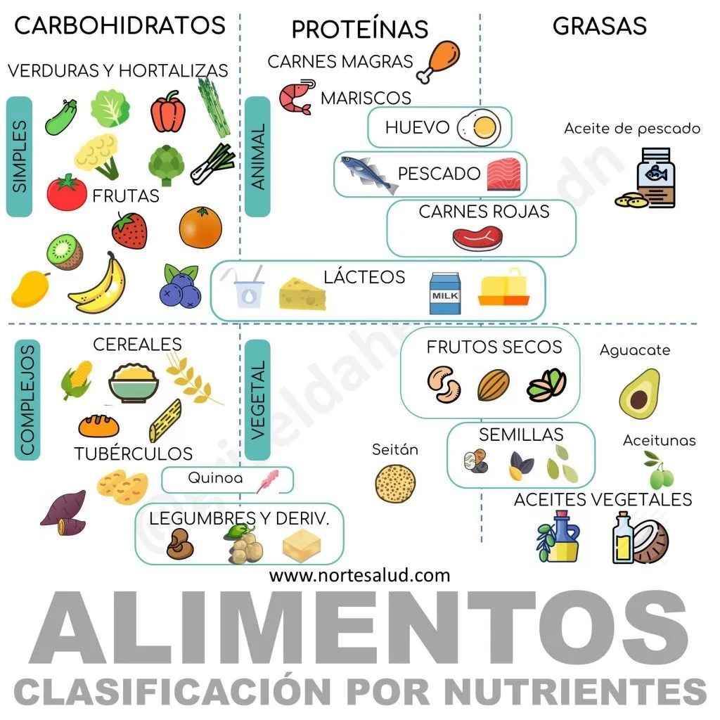 Clasificación de los alimentos según sus nutrientes - Norte Salud Nutrición