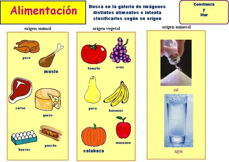 Clasificacion de los alimentos segun su origen para colorear - Imagui