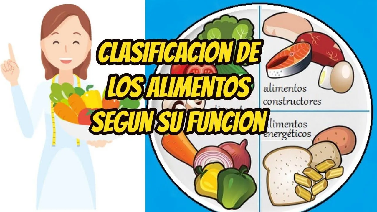 CLASIFICACIÓN DE LOS ALIMENTOS SEGÚN SU FUNCIÓN /APRENDE EN CASA - YouTube